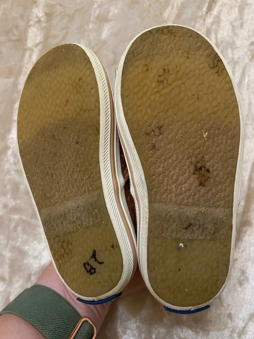 Kate Spade Keds Champion 5 Toddler